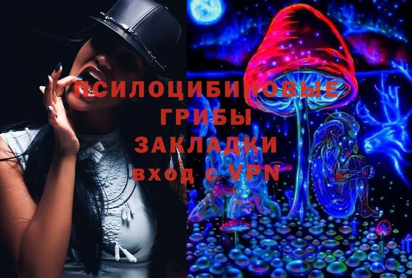метадон Зеленодольск