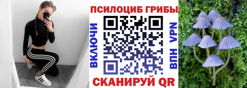 Галлюциногенные грибы прущие грибы  Купить где  Сусуман 